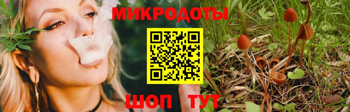 Псилоцибиновые грибы Cubensis  Вход с VPN  Галлюциногенные грибы Psilocybine cubensis  Кострома 
