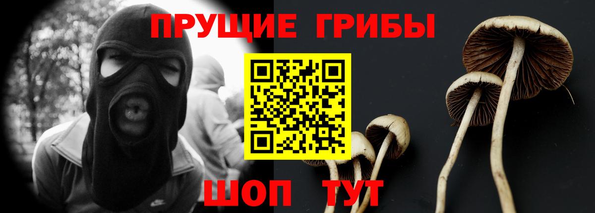 Галлюциногенные грибы MAGIC MUSHROOMS Кострома
